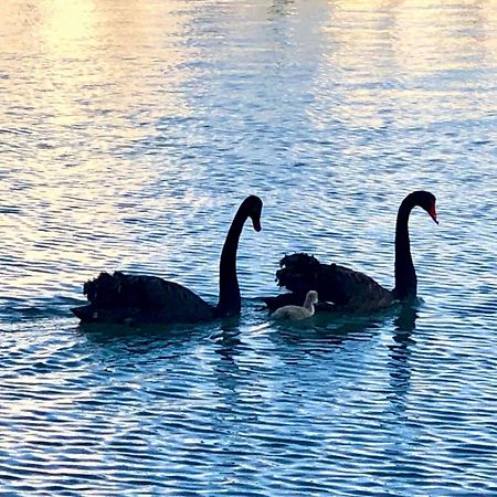 Tempel By The Sea Mandurah Esterno foto
