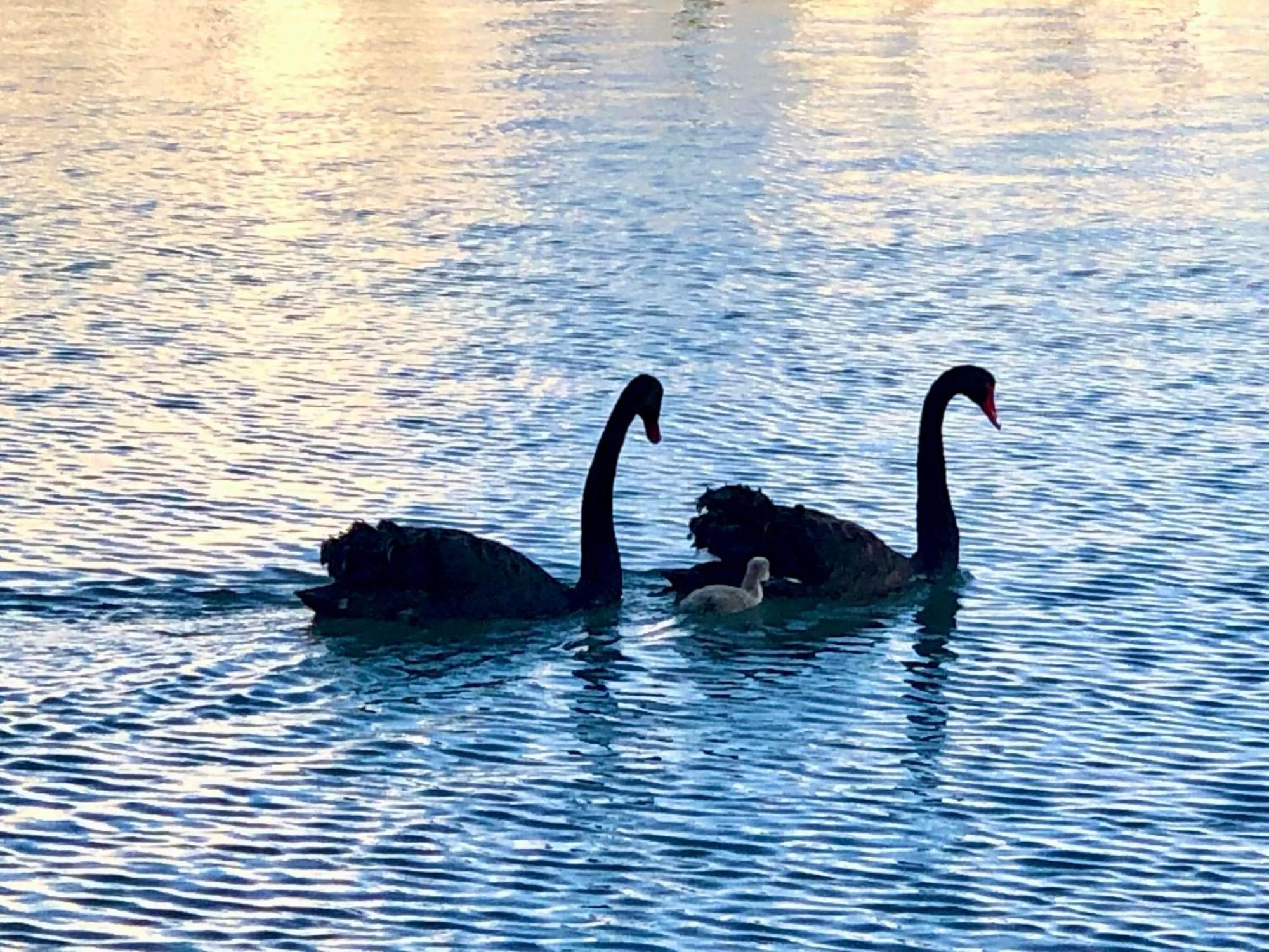 Tempel By The Sea Mandurah Esterno foto